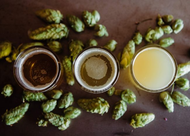Jim Koch Sam Adams beer interview