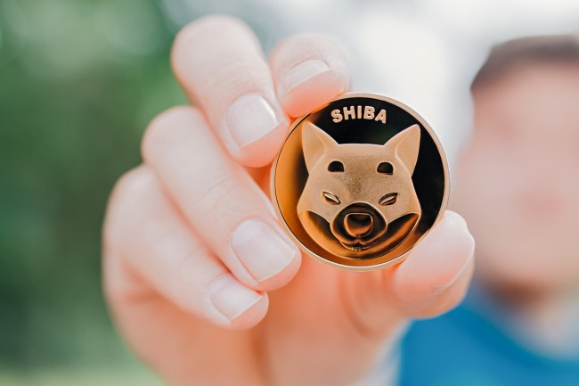 Shiba Inu Coin Token Investor $8,000 investment turn into $5.7 billion coinbase trade inactive wallet