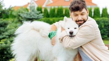 Pawternity Leave, PTO After Getting A Dog, Is Now A Real Debate Because No One Wants To Work Anymore