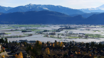 Incredible Rescue Videos Show Canadian Farmers On Jet Skis Save Cows From Massive Floods
