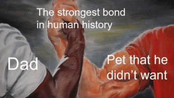 50 Of The Best Damn Photos On The Internet Today