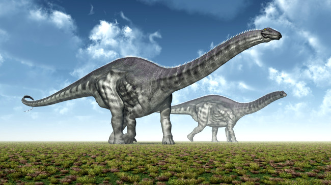 Over 100 Dinosaur Footprints Found In Colorado Picket Wire Canyonlands