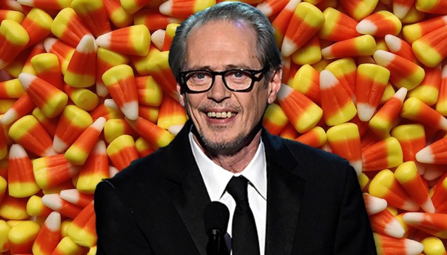Steve Buscemi Fellow Kids Halloween costume