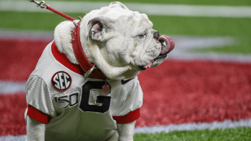 Georgia’s Mascot Uga Caught Peeing On Artificial Turf Field Before SEC Championship (Video)
