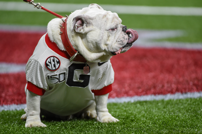 Uga Pees On Field SEC Championship