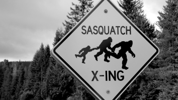 Researcher Discovers And Photographs What He Believes Are Possible Bigfoot Graves