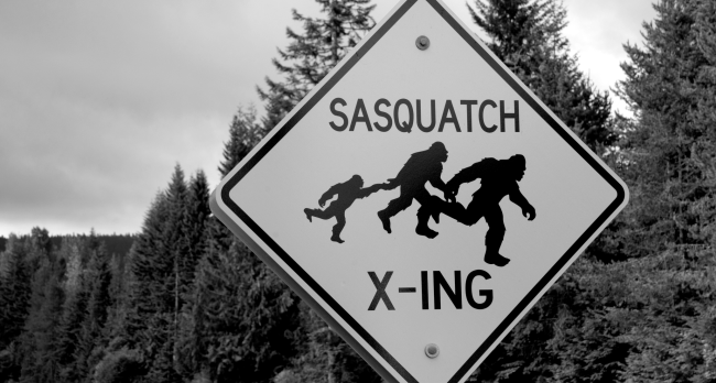 Cryptid Researcher Discovers And Photographs Possible Bigfoot Graves