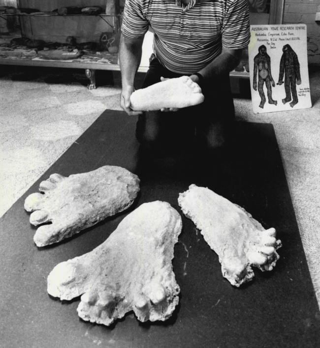 Three Men Report Encounter With A Yowie Australian Bigfoot