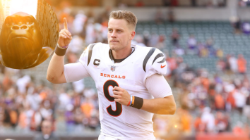 The Bengals Want To Win The Super Bowl For Beloved Cincinnati Legend Harambe