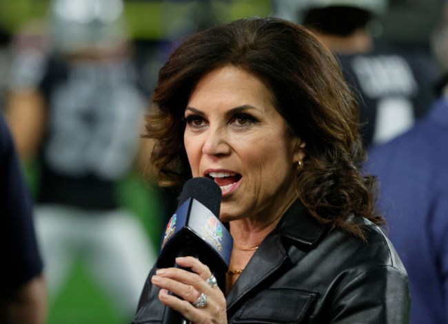 Michele Tafoya Announces New Job After Final Super Bowl With NBC