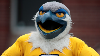 The University Of Chattanooga’s Mockingbird Mascot Is Absolutely Massive