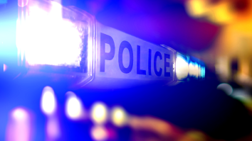Someone Stole A Box Of Human Heads In The Most Bizarre Crime Story Of 2022, So Far