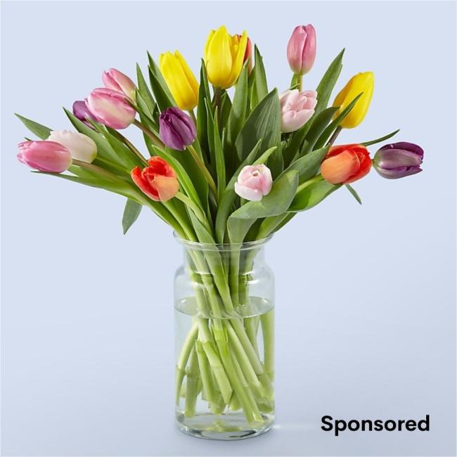 Proflowers Tulips