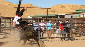 We Threw A Watch Party For ‘jackass forever’ – Here Are Our Favorite Moments