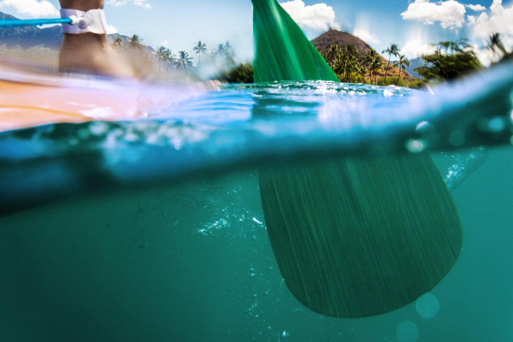 Paddleboarder Caught Between A Tiger Shark And Sea Turtle Gets Knocked In The Water When Shark Bites His Board