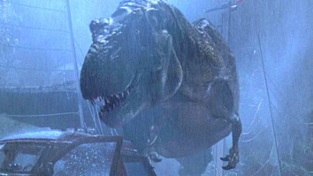 Researcher Believes They’ve Finally Figured Out The Reason T. Rex Had Such Tiny Arms