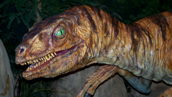 Gigantic ‘Shadow Of Death’ Megaraptor Remains Discovered By Scientists In Argentina