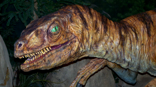 Gigantic Death Shadow Raptor Remains Discovered By Scientists
