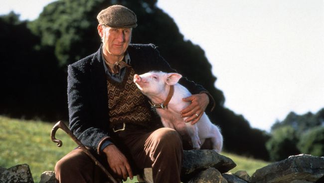 James Cromwell Superglued Himself To A Starbucks Counter In NYC