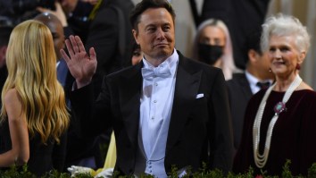 Elon Musk Announces Twitter Deal Is On Hold And Plunges The Site Into Chaos