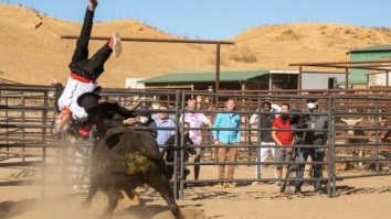 ‘Jackass’ Is Officially Coming Back As A TV Show
