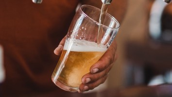 8 Jobs That Allow (And Even Encourage) Drinking