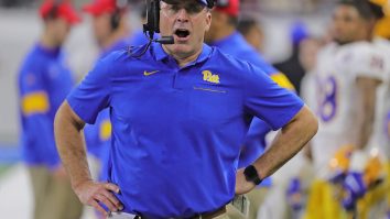 Pat Narduzzi Tried To Throw Shade At Ex-OC Mark Whipple And It Backfired Hilariously