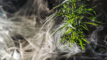 Internet Reacts To Giant Marijuana Cloud Enveloping Town When Cops Burn Weed And The Winds Shift