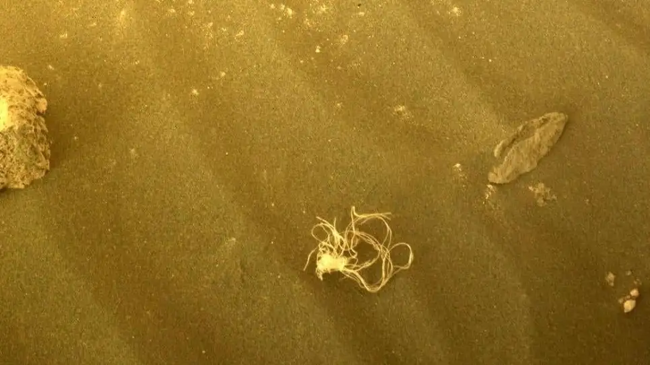 Mysterious Spaghetti-Like Object Spotted By Mars Rover Vanished Without A Trace