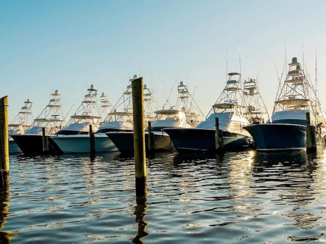 Salt Life charter captains