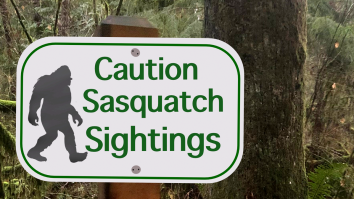 Woman Captures Photos Of What Appears To Be Bigfoot Walking In The Forest