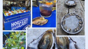 The Best Cocktails To Pair With Oysters – 8 Unique Suggestions