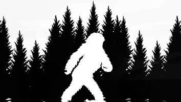 Witnesses In South Carolina Report Two New Bigfoot Encounters: There Was A ‘Noticeable Foul Smell’