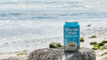 Why Florida Sports Fans Are A Special Breed Of Sports Fan