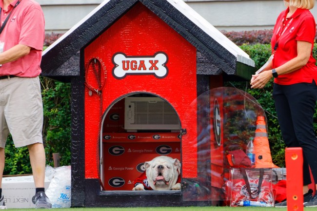 Georgia Fans Are Fed Up With The Bulldogs Poor Play Once Again