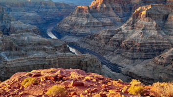 Grand Canyon Officials Issue Obvious Warning After Influencer Pulls Off Idiotic Stunt