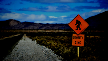 Recent Bigfoot Sighting Renews Interest In The Legend Of The Ohio Grassman