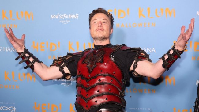 Elon Musk Shuts Down Grey Check Mark Idea And Gets Blasted For It