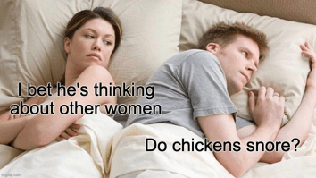 50 Of The Best Damn Photos On The Internet Today