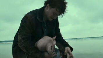 Wildlife Officials Ask ‘Harry Potter’ Fans To Stop Destroying Environment To Honor Fictional Dead Elf