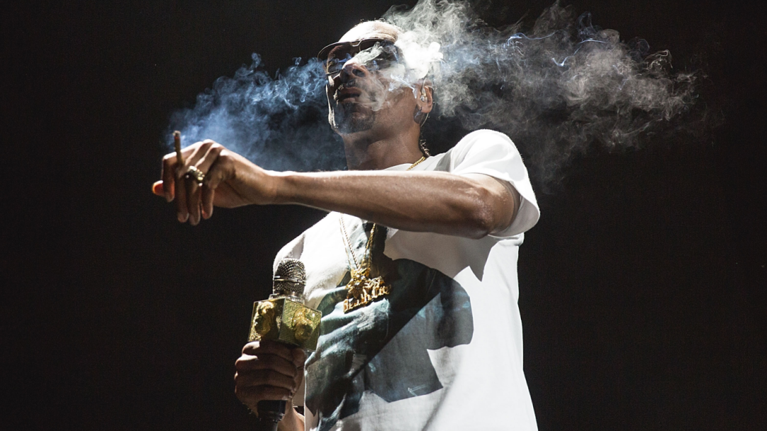 calculating how much weed Snoop Dogg smokes each day, week, and year