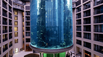 Video Captures Fallout Of 50-Foot Aquarium Exploding In Lobby Of German Hotel