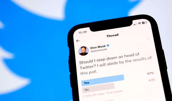 elon musk head twitter poll