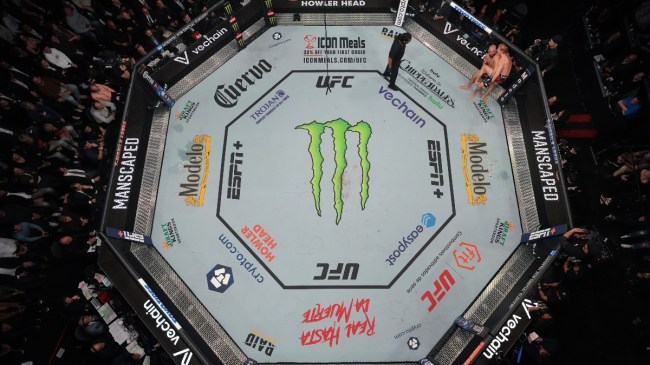 Paddy Pimblett's UFC fight vs. Jared Gordon