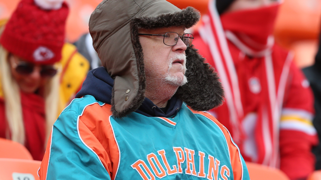 Miami Dolphins fan
