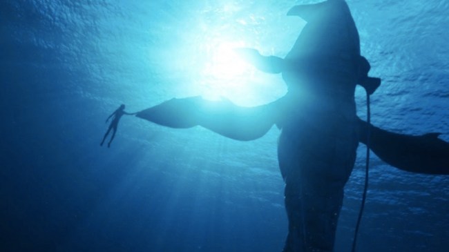 a giant whale like creature in avatar the way of water