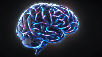 Surgeon Who Planned To Do A Human Head Transplant Now Says Brain Transplants Are ‘Feasible’