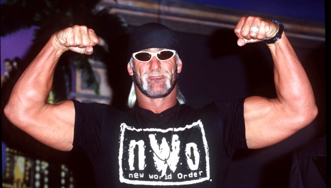 hulk hogan strikes a pose nwo