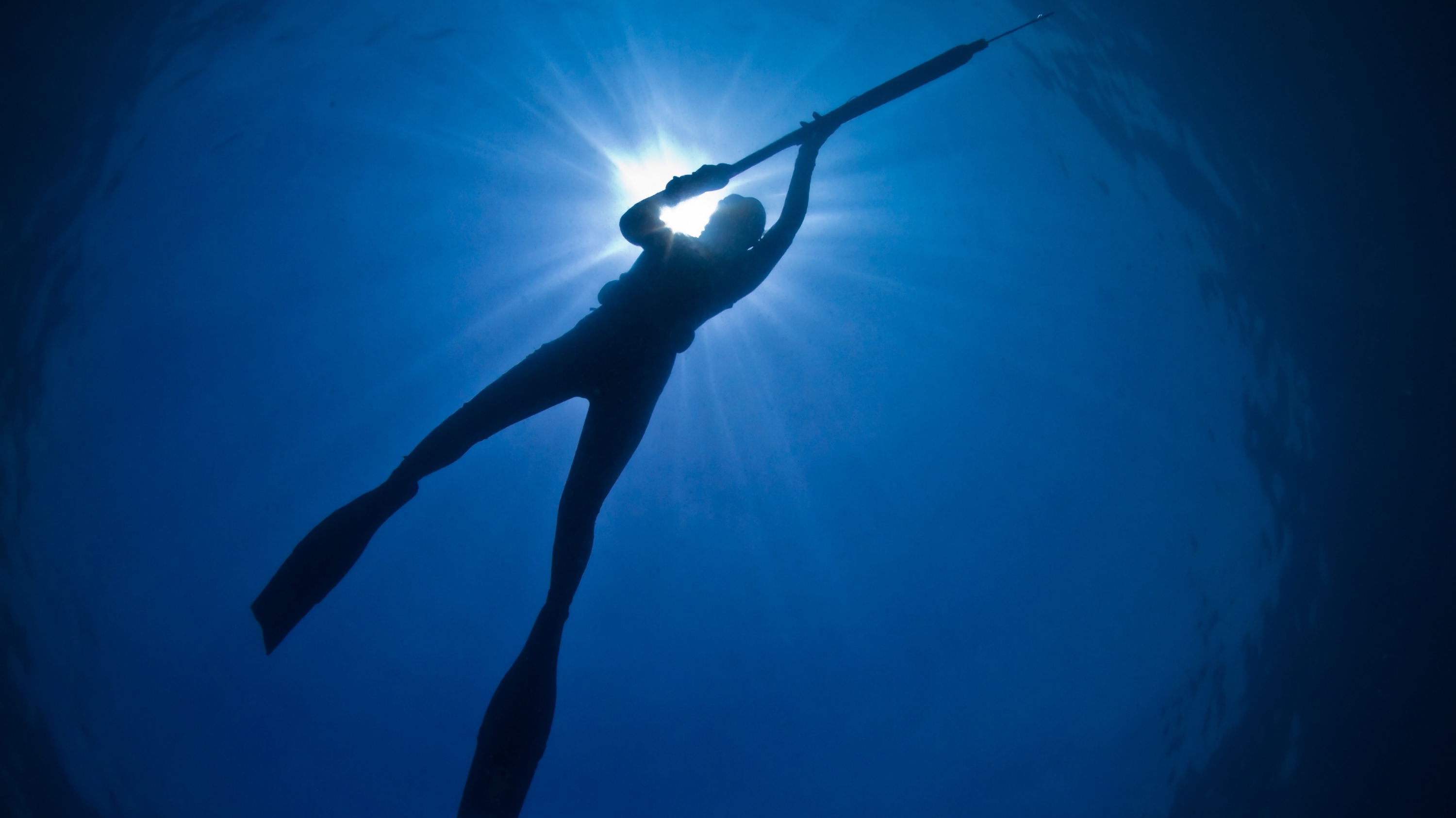 spearfishing shark encounter