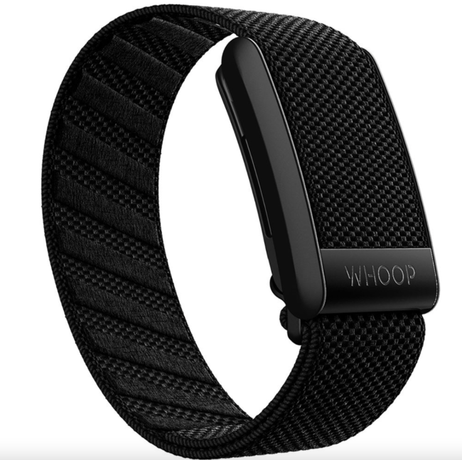 Fitness Gear